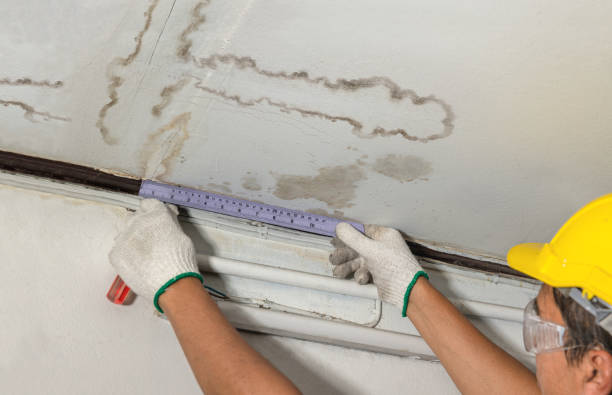 Reliable Water Damage contractor in Wood-Ridge, NJ by Water Damage Irwin